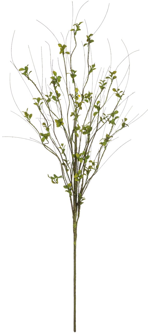 Sullivan's Christmas Leaf Foliage Spray, Green Faux Floral Stem for Crafting, Weddings, Home and Holiday Decoration, 48 Inch